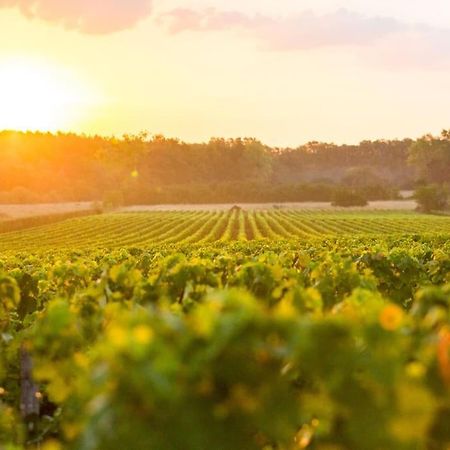 Le Caudalie Au Coeur Des Vignobles Pessac Leognan Villa Exterior photo